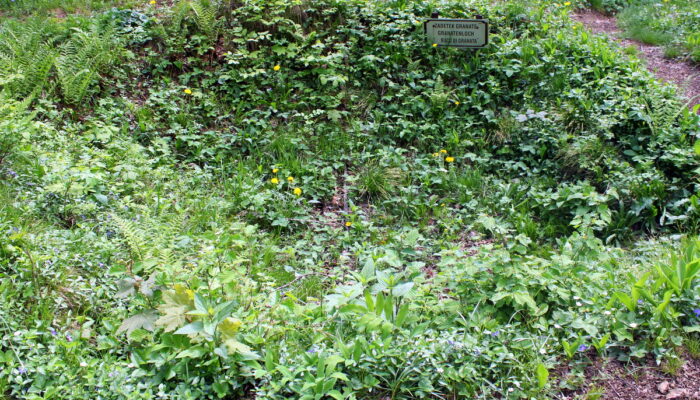 bovec-isonzo-front-grenade-crater