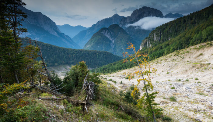 The Stože landslide/debris flow triggered in autumn 2001. It burried the village Log pod Mangartom and killed 7 people. Almost 15 years later, the scar is still plainly visible.