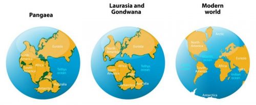 pangea-continental-shift