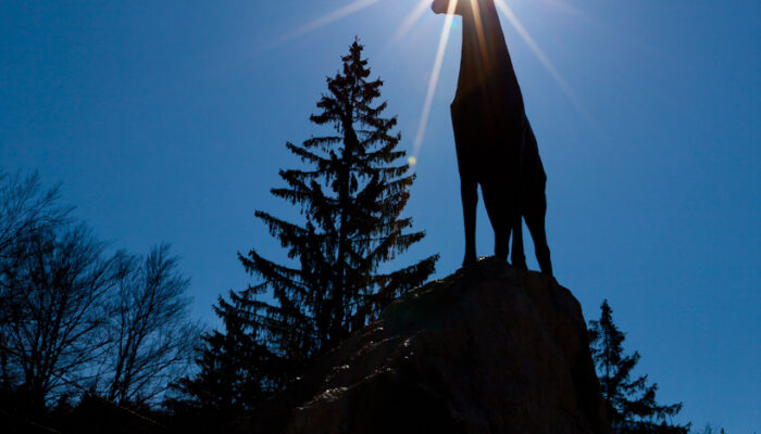 Statue of Zlatorog (Goldhorn) on Lake Bohinj